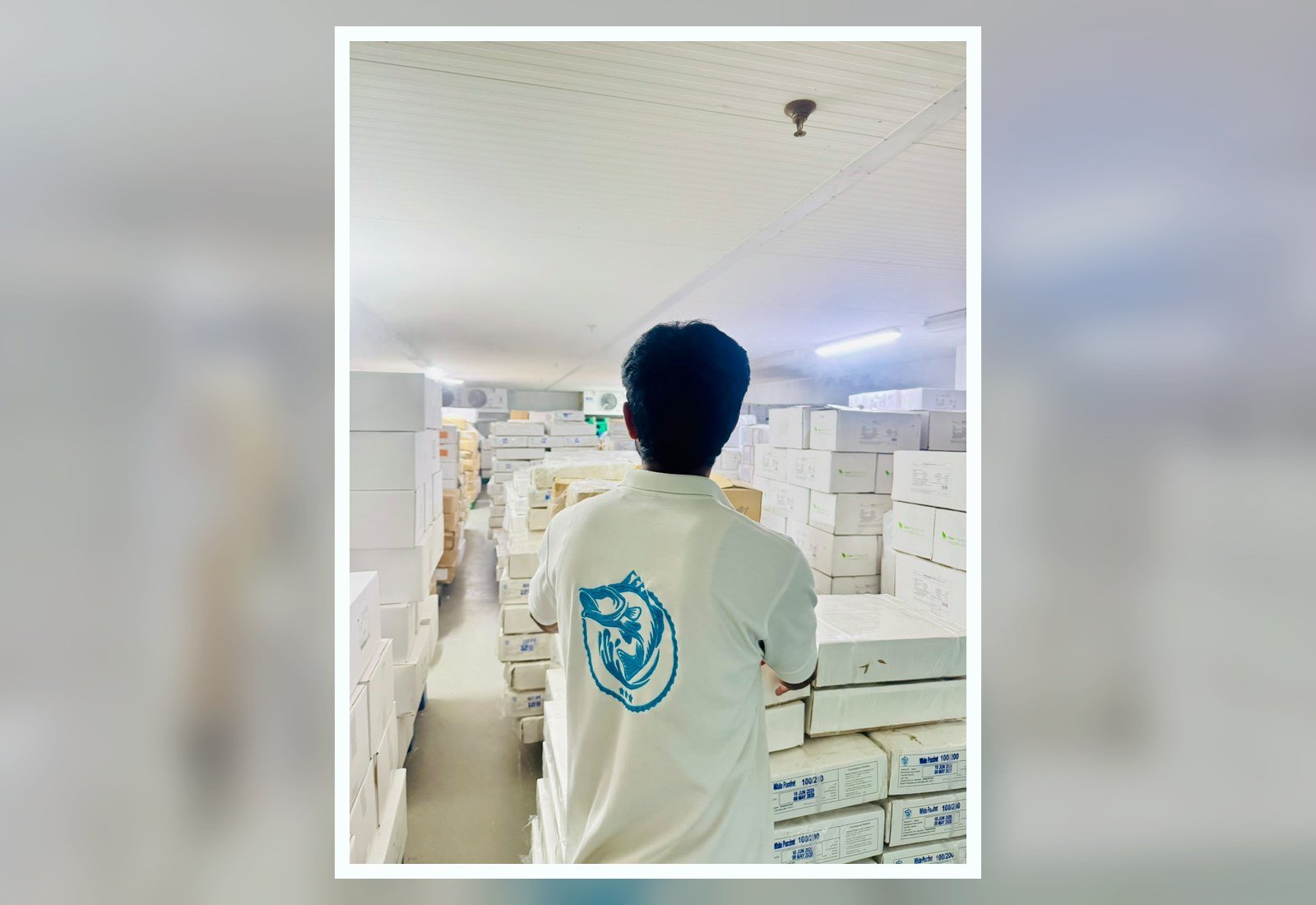 Inside Waterfront Market M-CR-22 cold store with cartons of frozen seafood stock