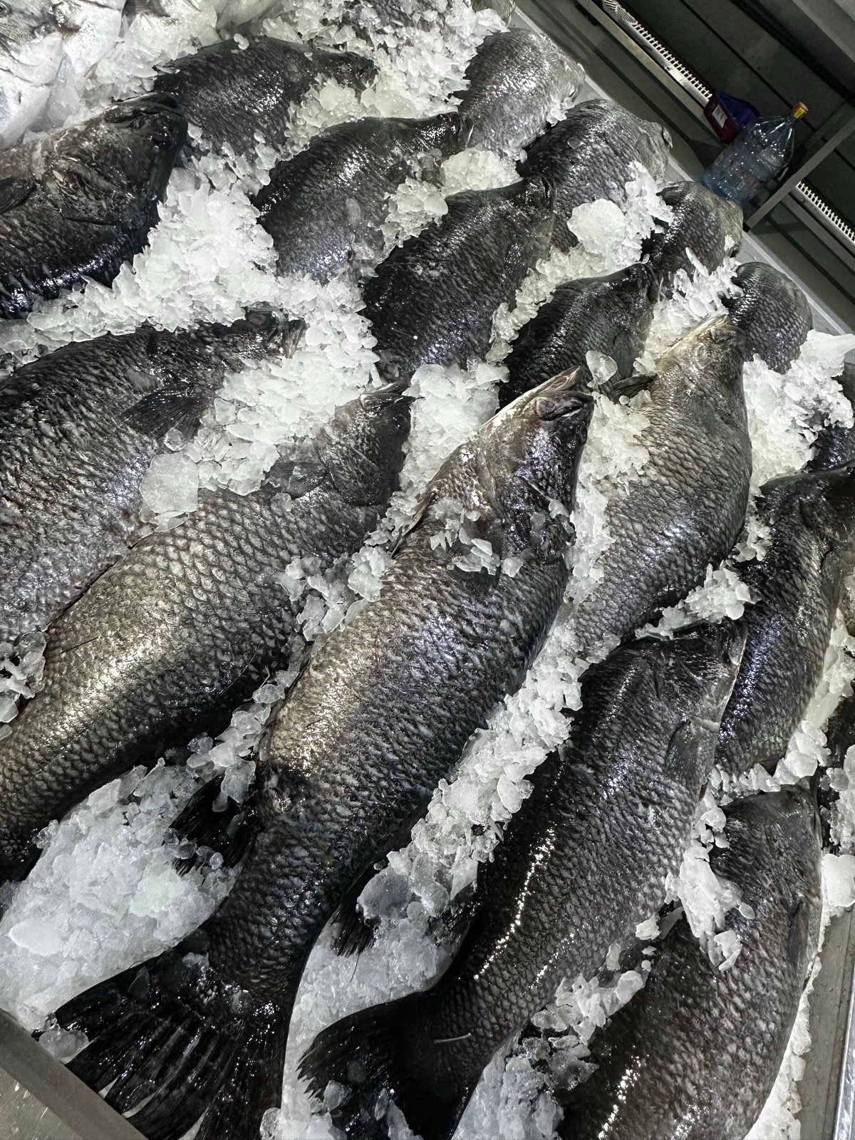 Fresh fish displayed on ice at Waterfront Market