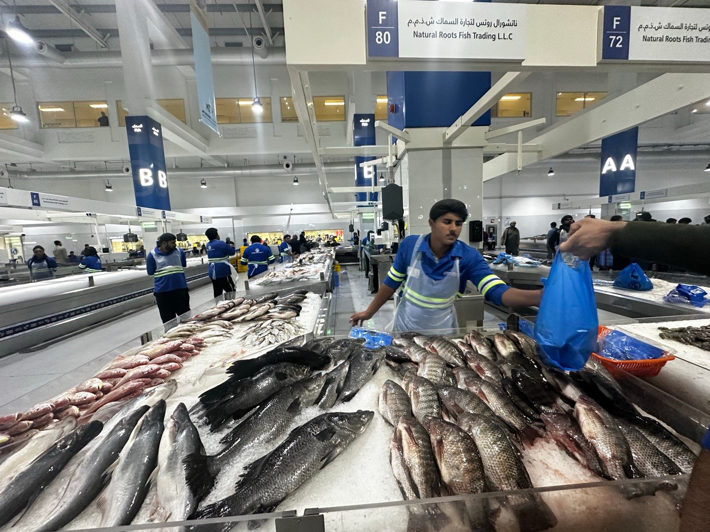 Waterfront Market Dubai fresh seafood outlet
